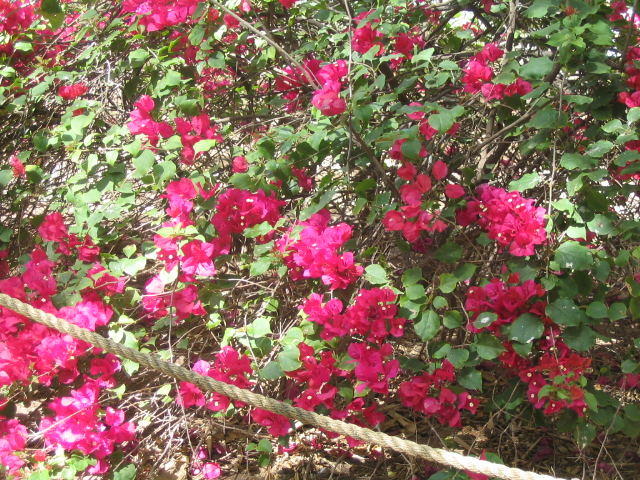 618x457 pixels (328K)